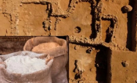 Brutărie veche de 3000 de ani cu mai mulți saci de făină descoperită de arheologi