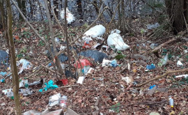 Munți de gunoi la doar cîțiva kilometri de Chișinău
