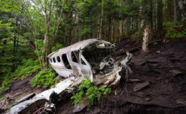 Patru copii găsiţi vii în junglă după un accident cu avionul