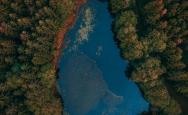 За последние 30 лет иссохла почти половина самых крупных озер на планете