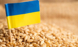 Maia Sandu a comentat situația privind importul de cereale ucrainene
