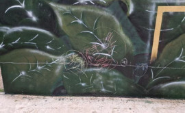 O pictură murală din capitală vandalizată după inaugurare