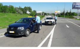 В Молдове пройдут мероприятия по борьбе с незаконными перевозками