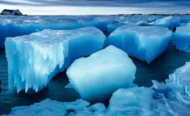Datorită Protocolului de la Montreal gheața din Arctica va fi stabilă timp de 15 ani