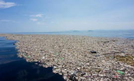 В три раза больше Франции огромный плавучий мусорный остров дрейфует в океане