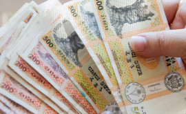 У кого самые высокие средние зарплаты в Молдове