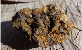 Fragmente de meteorit vor fi expuse la Muzeul de Istorie Naturală din Paris