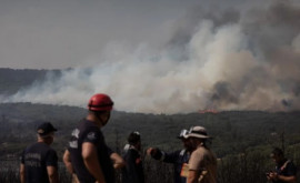 Изза дыма от масштабных лесных пожаров в Канаде могут пострадать миллионы людей