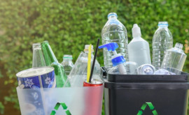 Пластик используемый на рынке Молдовы один из самых опасных для окружающей среды