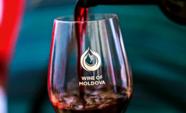 Молдова и Китай расширят сотрудничество в сфере виноделия