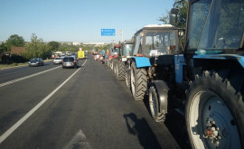 Сельхозпроизводители продолжат протесты и готовы дойти до Кишинева