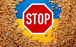 Венгрия продолжит обсуждать с Еврокомиссией запрет на поставки зерна с Украины