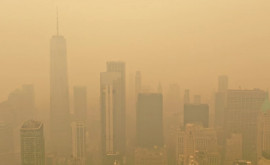 НьюЙорк стал самым загрязненным городом в мире