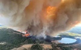 Лесные пожары в Канаде Европa готова помочь
