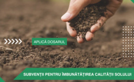Statul acordă subvenții pentru proiectele investiționale de îmbunătățire a calității solurilor
