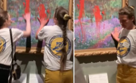 В Стокгольме две экоактивистки вылили краску на картину Моне