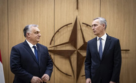 Орбан НАТО проявляет осторожность в отношении конфликта в Украине