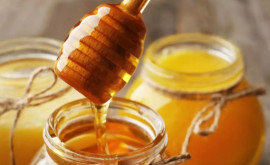 Mai puțină miere în acest an apicultorii vor majora prețurile