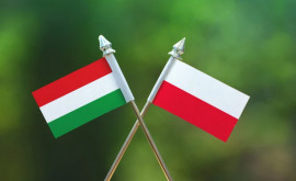 Венгрия и Польша предлагают продлить запрет на поставки в ЕС зерна с Украины