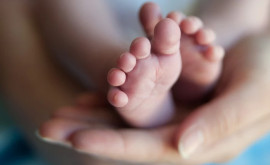 Boom de gemeni la Institutul Mamei și Copilului din capitală Cîți bebeluși au venit pe lume