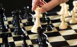 В столице пройдет чемпионат по шахматам и шашкам среди взрослых