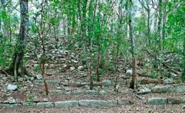 În jungla din Mexic a fost descoperit un oraș Maya pierdut 