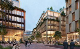 Cel mai mare oraș din lemn va fi construit în Suedia