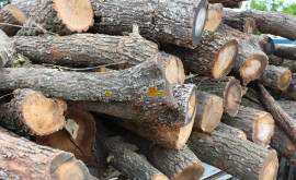 Мошенничество связанное с дровами двое заключенных из Леовы могут получить новый приговор