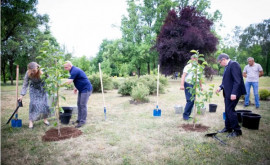 Președintele Parlamentului și omologul său francez au sădit arbori la Grădina Botanică