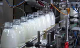 Для молочной отрасли будут выделены государственные субсидии 