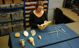 Obiecte din Epoca de Gheață descoperite în Anglia