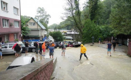 O ploaie torențială a devastat mai multe zone ale orașului Soci