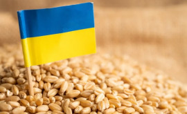 Deputat PAS Interdicția importurilor ucrainene nu va aduce nimic agricultorilor