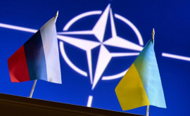 Госдеп Вступление Украины в НАТО в ходе боев означало бы войну США с Россией