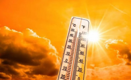 Румыния кипит в условиях красного кода в связи с жарой