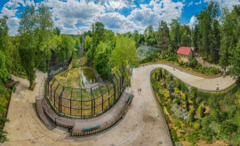 Бесплатный вход и Zoo Quest Family в Кишиневском зоопарке 