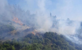 Turcia continuă să lupte împotriva incendiilor de pădure