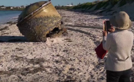 В Австралии на берег выбросило странный объект неизвестного происхождения