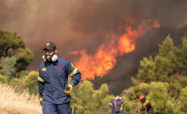 Incendiu devastator în apropiere de Atena Zeci de pompieri luptă cu flăcările 