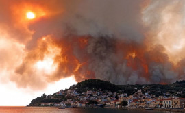 Imagini apocaliptice dintro localitate din Grecia unde flăcările au mistuit totul 