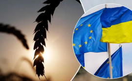 UE lucrează pentru a crește exporturile de cereale ucrainene pe uscat