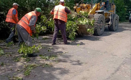 Дорожники убирают с трасс поваленные ураганом деревья