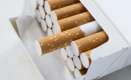 Украинские сигареты стали номером 2 на европейском рынке нелегальной продукции