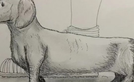 В Великобритании при раскопках древнеримской виллы найдены останки крошечной собаки