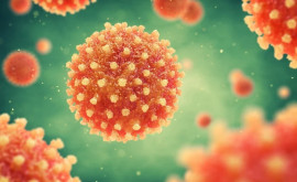 Врач Молдова занимает первое место в Европе по заболеваемости гепатитом