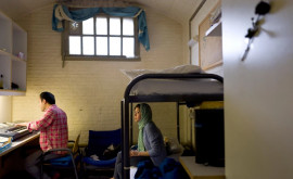 Изза наплыва мигрантов в Нидерландах не хватает жилья