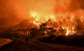 Cine a provocat cele mai multe incendii în Grecia