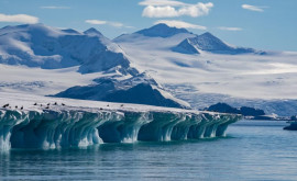 Антарктида теряет массивы льда с невероятной скоростью