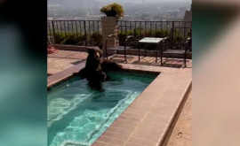 Un urs a dat buzna întro vilă din California și sa răcorit în piscină