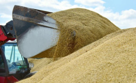 Украина и Хорватия договорились об использовании портов для вывоза зерна